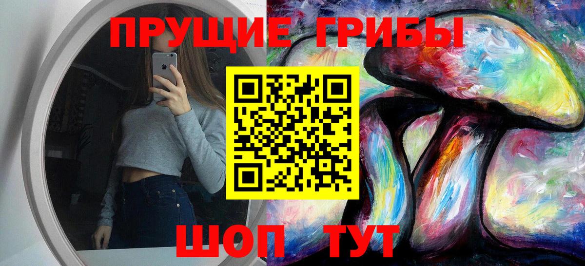 Галлюциногенные грибы мухоморы  Псилоцибиновые грибы GOLDEN TEACHER  Кудрово  Вход с VPN 
