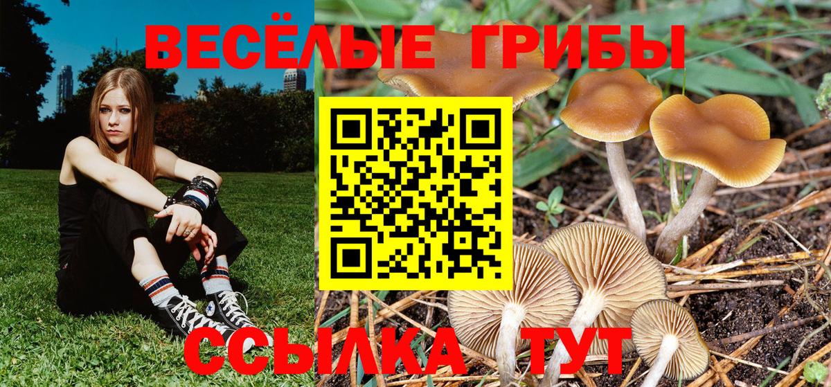 Галлюциногенные грибы ЛСД Кудрово