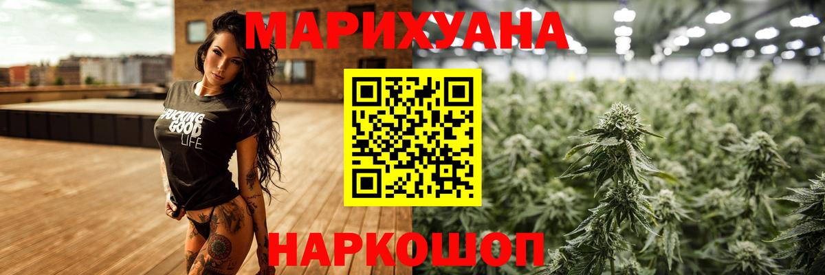 Бошки Шишки план Кудрово